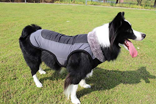 Idepet Chaqueta abrigada para perros, traje para nieve resistente al agua para mascotas, ropa reflectante a prueba de viento para perros pequeños, medianos y grandes, forro de algodón suave