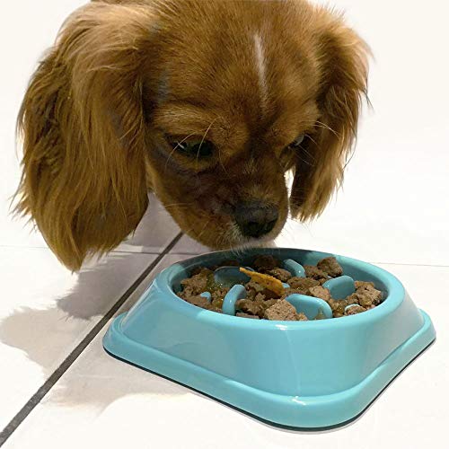 igadgitz Home U6969 Comedero Perros Pequeños Antivoracidad Cuenco Pequeños, Cachorros y Gatitos Alimentación Lenta Tazón Anti-Gulping Mascotas