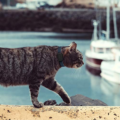 Invoxia Pet Tracker - Rastreador de GPS para gatos y perros con seguimiento de actividad, incluido ABO - Batería de larga duración - Ligero y pequeño