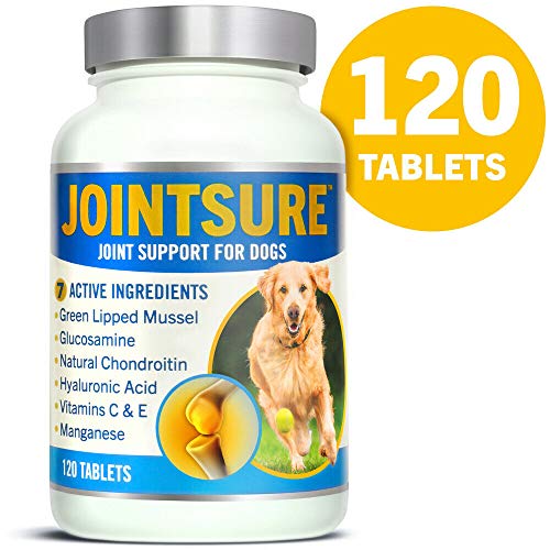 JOINTSURE condroprotector Perros| 120 Comprimidos | con mejillón de Labio Verde, glucosamina y condroitina Natural. | Este antiinflamatorio para Perros.