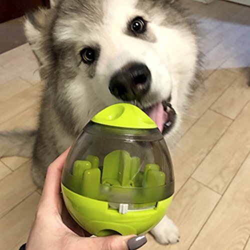 Juguete Comida Perro,Payxuan Actualizado Bola para Perros Interactivos Para Comer Lento y Ejercicio Intelectual-Verde