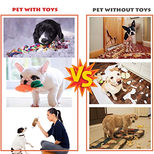 Juguete del perro juego completo de 8 piezas de peluche molares de juguete de masticando juguetes pequeños de la zanahoria chirriante zapatos de juguete adecuados para los pequeños y medianos perros