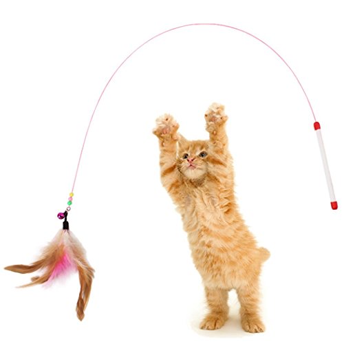 Juguetes para gatos, Legendog 10 piezas Juguete interactivo para gatos con plumas para Kitty