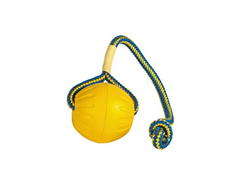 Julius K9 59838 Swing & Fling Durafoam Fetch Ball On A Rope - 2,5", Ø 6,4 Cm, M, M, Multicolor