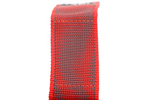 Julius-K9 Collar Color & Gray con la manija, la cerradura de seguridad y el remiendo intercambiables, 40 mm (38-53 cm), Rojo-Gris
