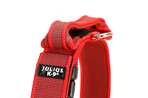 Julius-K9 Collar Color & Gray con la manija, la cerradura de seguridad y el remiendo intercambiables, 40 mm (38-53 cm), Rojo-Gris