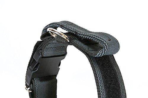Julius-K9 Collar Color & Gray con la manija, la cerradura de seguridad y el remiendo intercambiables, 50 mm (49-70 cm), Negro-Gris