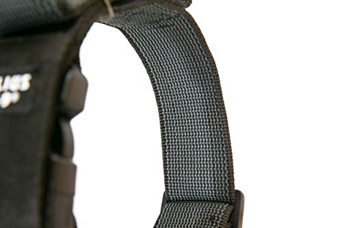 Julius-K9 Collar Color & Gray con la manija, la cerradura de seguridad y el remiendo intercambiables, 50 mm (49-70 cm), Negro-Gris