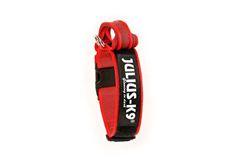 Julius-K9 Collar Color & Gray con la manija, la cerradura de seguridad y el remiendo intercambiables, 50 mm (49-70 cm), Rojo-Gris