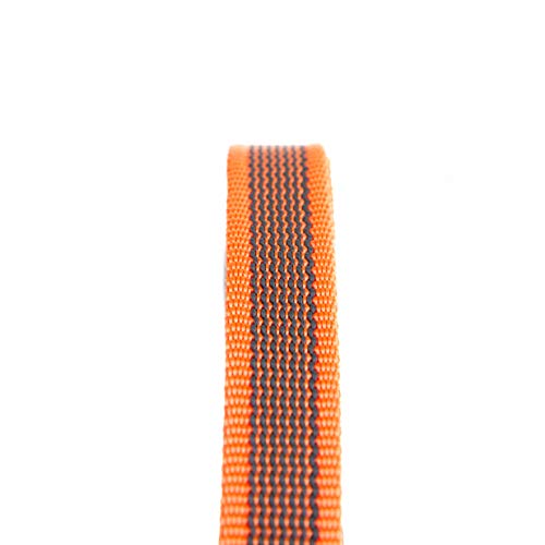 Julius-K9 Color & Gray Collar, 20 Mm (27-42 Cm), Naranja-Gris