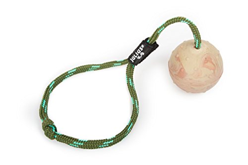 Julius-K9 | IDC-Ball with String | diam.: 2,3 / 60mm | with closable Handle by