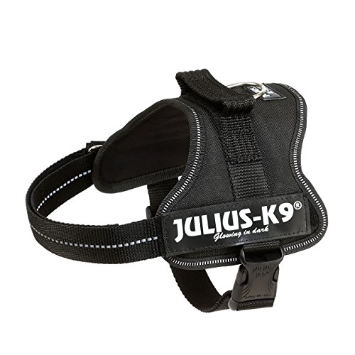 Julius-K9 Mini, 51-67 cm, Negro