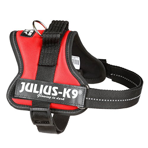 Julius-K9 Mini,  51-67 cm, Rojo