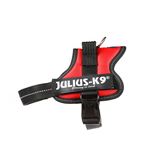 Julius-K9 Mini,  51-67 cm, Rojo