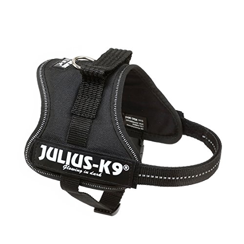 Julius-K9 Mini-Mini, 40-53 cm, Negro
