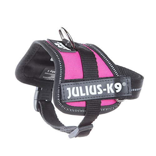 Julius-K9 PowerHarness para perros, color Rosa oscuro, talla Baby 1