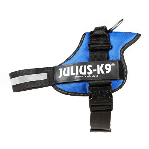 Julius-K9, Talla 1, 66-85 cm, Azul