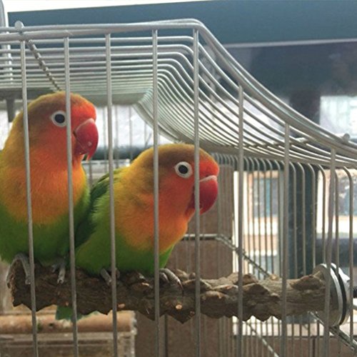 Keersi - Percha lima uñas de madera para jaula de pájaros