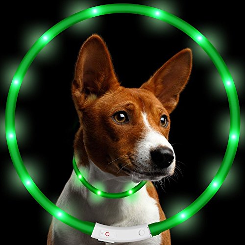 KEKU LED Collar de Perro de Mascota, llevó USB Recargable Collar de Seguridad para Mascotas Impermeable hasta la Longitud de 50 cm (19.5in) Collar de Destello Ajustable (Verde)