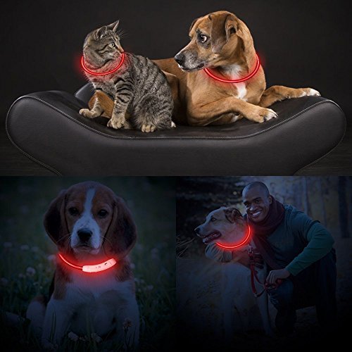 KEKU LED Collar de Perro de Mascota, llevó USB Recargable Collar de Seguridad para Mascotas Impermeable hasta la Longitud de 50 cm (19.5in) Collar de Destello Ajustable (Rojo)