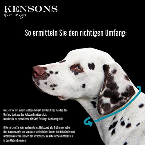 KENSONS for dogs - Collar de perro de cuerda con mosquetón de tijeras, resistente y resistente a la intemperie, diámetro de 10 mm, diseño de cuerno de ciervo
