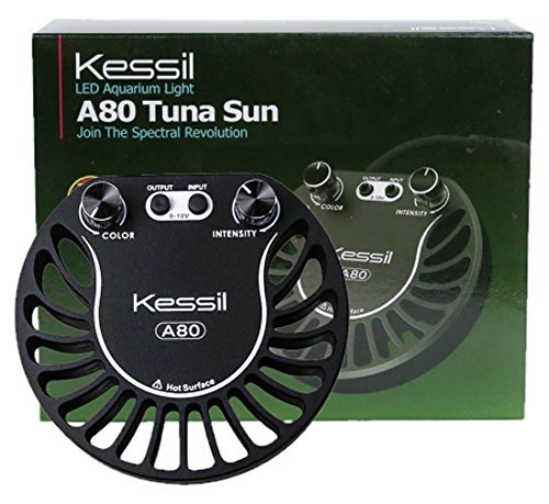 Kessil Foco LUZ LED A80W Tuna Sun