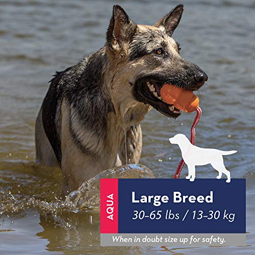 KONG - Aqua - Flotador para buscar, ideal para jugar en el agua - Para Perros Grandes