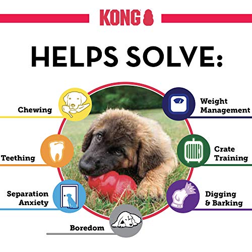 KONG - Classic - Juguete de resistente caucho natural - Para morder, perseguir o buscar - Para Perros Pequeños