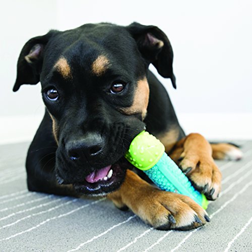KONG - Hueso CoreStrength™- Juguete Resistente para Morder - Perros Pequeños y Medianos
