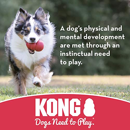KONG - Puppy Flyer - Disco volador de caucho para dentición - Para Cachorros Pequeños (varios colores)