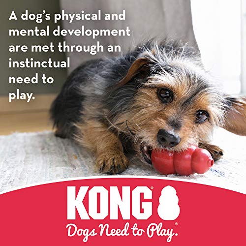 KONG – Puppy Goodie Bone con Cuerda - Juguete de Caucho para Morder, Limpiador de Dientes – Para Cachorros Mini (Disponible en Varios Colores)