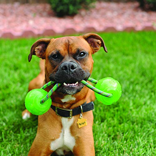 KONG - Squeezz Ball w/Handle - Juguete sonoro para perros - Para Perros de Raza Grande (varios colores)