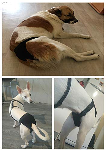 LeerKing Fisiológicas Pantalones para Perros Higiénicas menstruales Pañales Bragas para Mascotas Sanitarios Lavable Reutilizables 3 Pack, Negro L