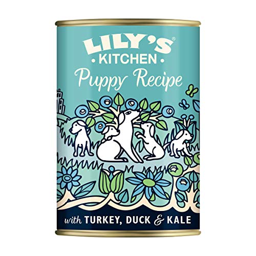 Lily's Kitchen DTP17 - Comida para Perro con Pato, 400 g, 6 Unidades