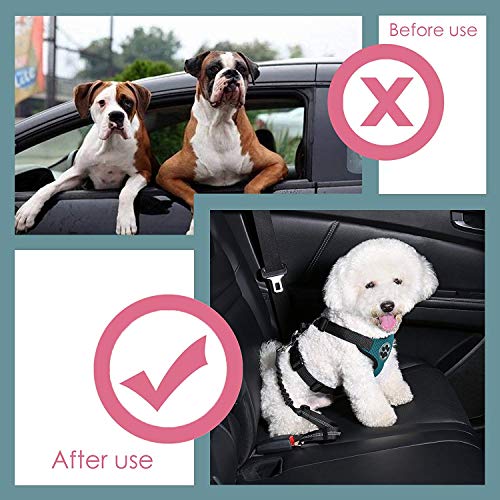 Lukovee - Cinturón de seguridad para perro, doble cinturón de seguridad para mascota