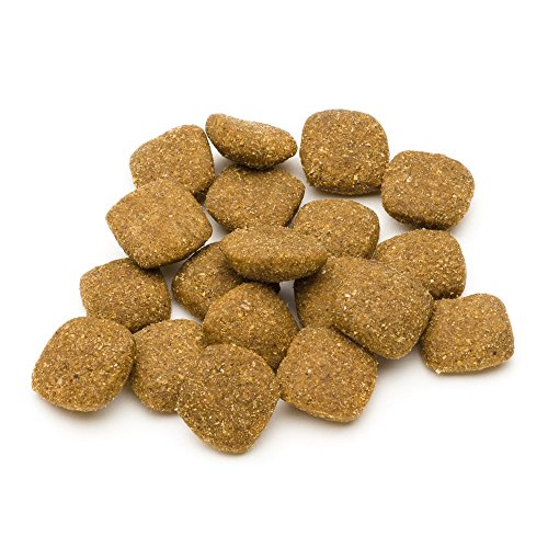 Marca Amazon - Solimo - Alimento seco completo para perro adulto rico en cordero y arroz,  1 Pack de 5 kg