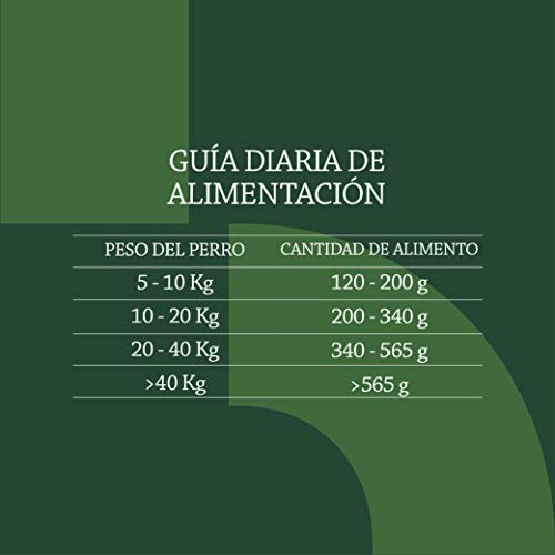 Marca Amazon - Solimo - Alimento seco completo para perro adulto rico en cordero y arroz,  1 Pack de 5 kg