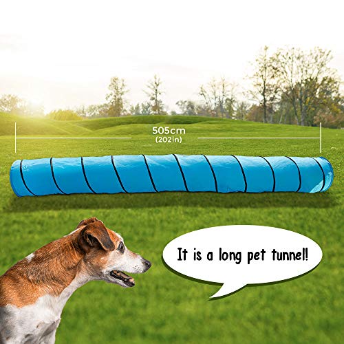 Masthome Túnel De Agilidad para Perros y Gatos,Tubo Plegable para Mascotas,505cm de Largo,con 2 Frisbee para Perros