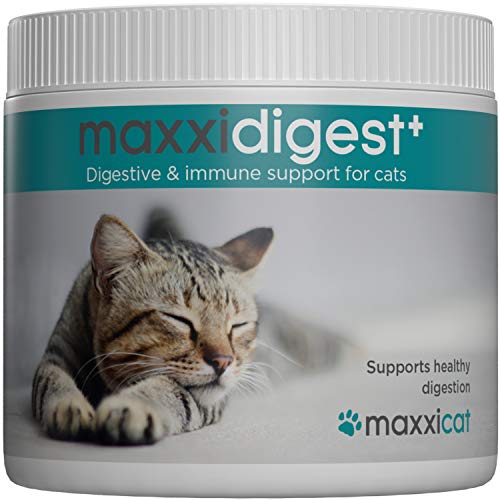 maxxicat – maxxidigest+ Probióticos, prebióticos y enzimas digestivas para Gatos - Ayuda Avanzada a la digestión Felina & al Sistema inmunológico - Sin Polvo OGM - Polvos 200 g