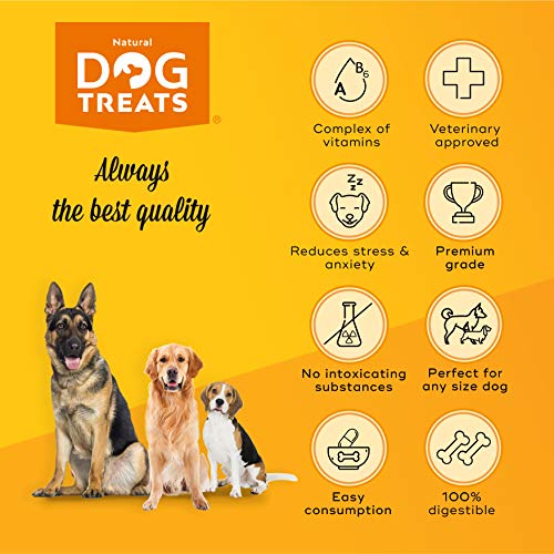 Natural Dog Treats Calmantes para Perros y Gatos, Veterinario Aprobado, Relajante para Estrés, Ansiedad por Separación, Viajes y Ruidos Fuertes, 60 Cápsulas