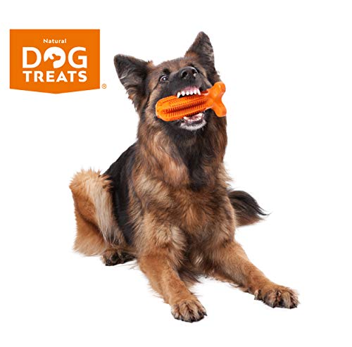 Natural Dog Treats Cepillo de Dientes y Dentífrico Set para Perros, 100% Natural Caucho Dog Brushing Stick, Juguete para Masticar