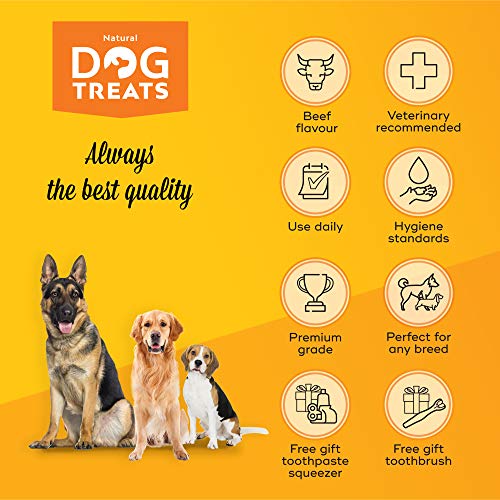 Natural Dog Treats Cepillo y 4X Dentífrico Set para Perros, Set Higiene Dental, Pasta de Dientes Sabor a Carne, Cuidado Dental Comestible