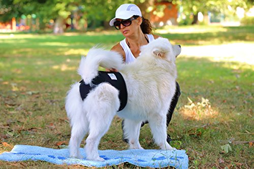Nature Pet Hygiene - Pantalones Sanitarios para Perros/Perros, Pantalones de incontinencia para Perros/pañales para Perros