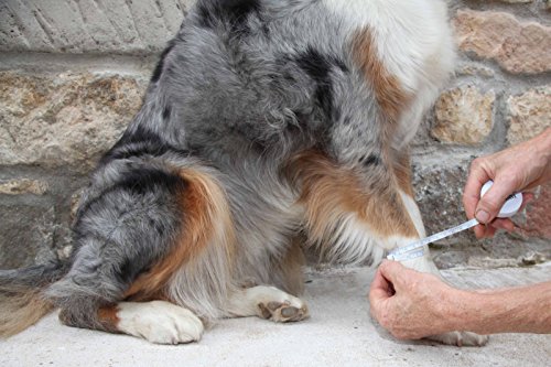 Nature Pet Medium Perros – Muñequera Gris/karpalg elenk – Vendaje/Vendaje de Apoyo para Perros