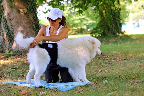 Nature Pet Perros Higiene Pantalones Sanitarios Menstruales Bragas/Pañales para Perros Macho Mascotas Machos Lavable (S-L, Azul)