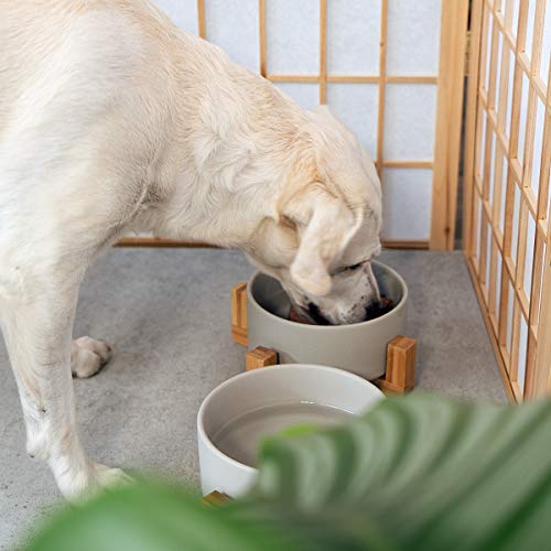 Navaris 2X Cuencos elevados para Mascotas - Comedero y Bebedero de cerámica para Perros Gatos Cachorros - con Soportes de bambú Antideslizante - en Gris
