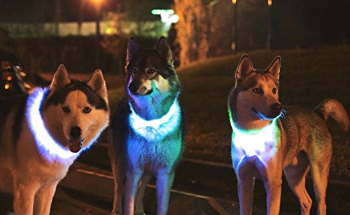 NEO+ Mejor Perro Visibilidad y Seguridad – USB Batería LED Perro Seguridad Collar – LED de Pilas – se Conecta a Dispositivos – no – Gran diversión – tu Perro es más Visible y Seguro (Rosa PEQUEÑO)
