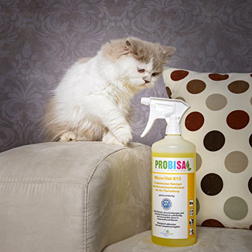 Neutralizadores de olor spray (Probisa Micro-Vet 813) de la orina del gato, perro y los roedores olores - y bio limpiador concentrado 40ml rendimiento 1-2 litros listos para usar asesino de olor / Removedor de olor