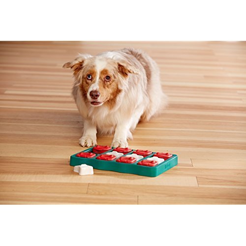 Nina Ottosson Dog Brick - Rompecabezas Interactivo para Perros, Un tamaño, Azul Y Rojo 677 g