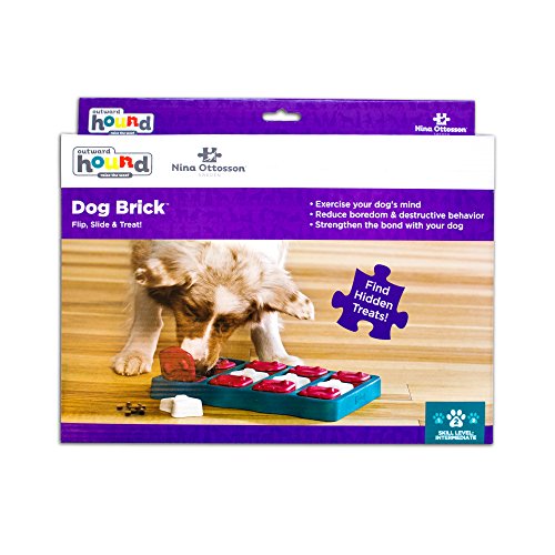 Nina Ottosson Dog Brick - Rompecabezas Interactivo para Perros, Un tamaño, Azul Y Rojo 677 g